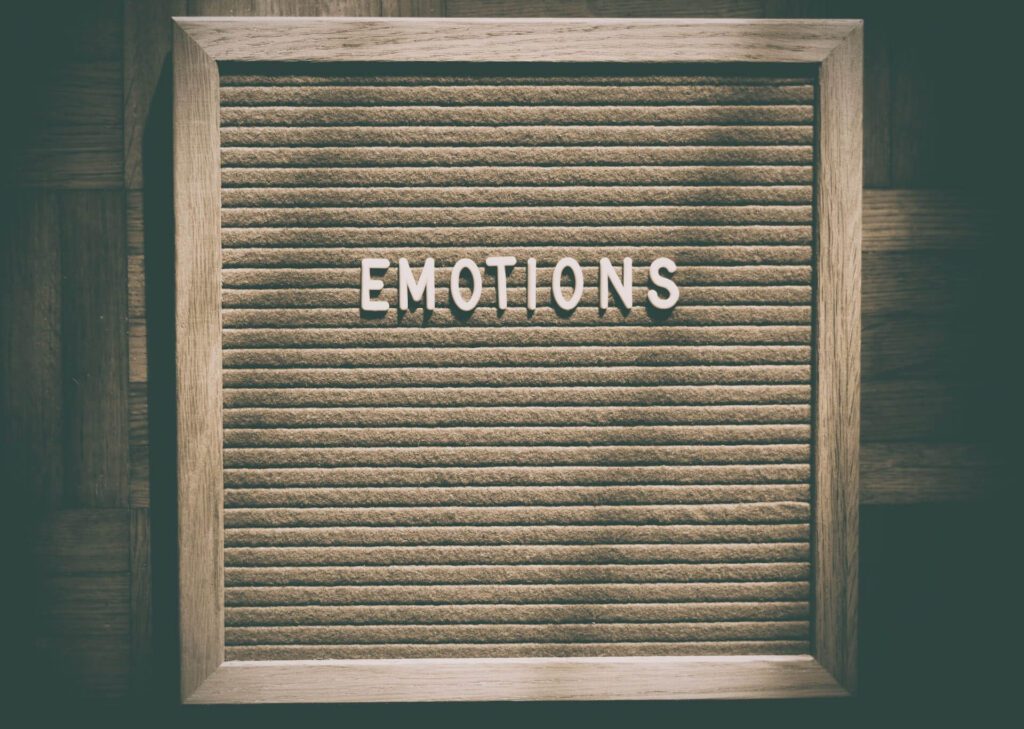 Why Is Emotional Intelligence Important? 5 Ways It Affects Your Life 2 emotions