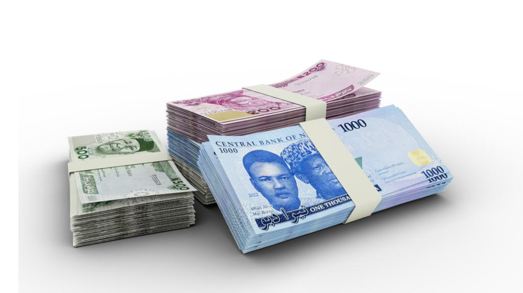 NEW NAIRA PALAVA (A.K.A NO CASH) 2 Stack of new naira notes
